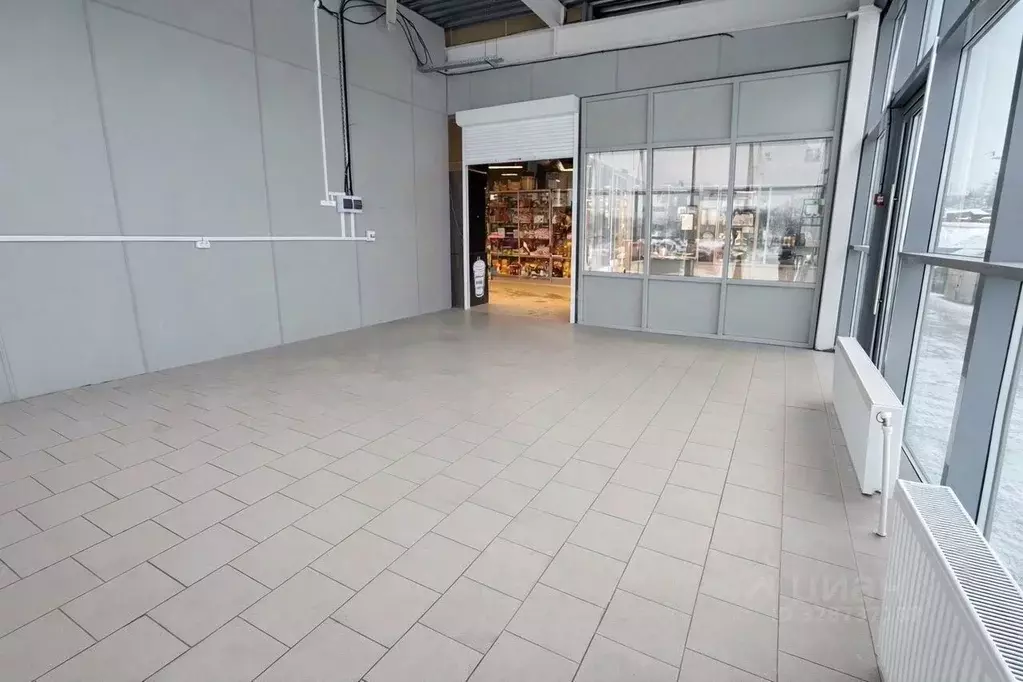 Торговая площадь в Московская область, Истра муниципальный округ, д. ... - Фото 2