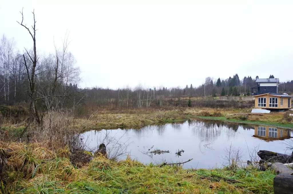 Участок в Московская область, Дмитровский муниципальный округ, д. ... - Фото 2