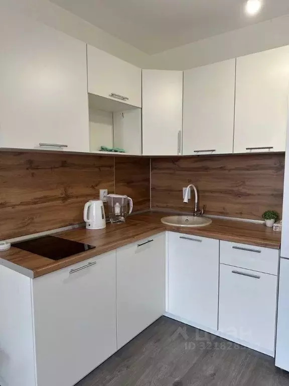 Студия Ленинградская область, Всеволожский район, пос. Бугры ул. ... - Фото 1