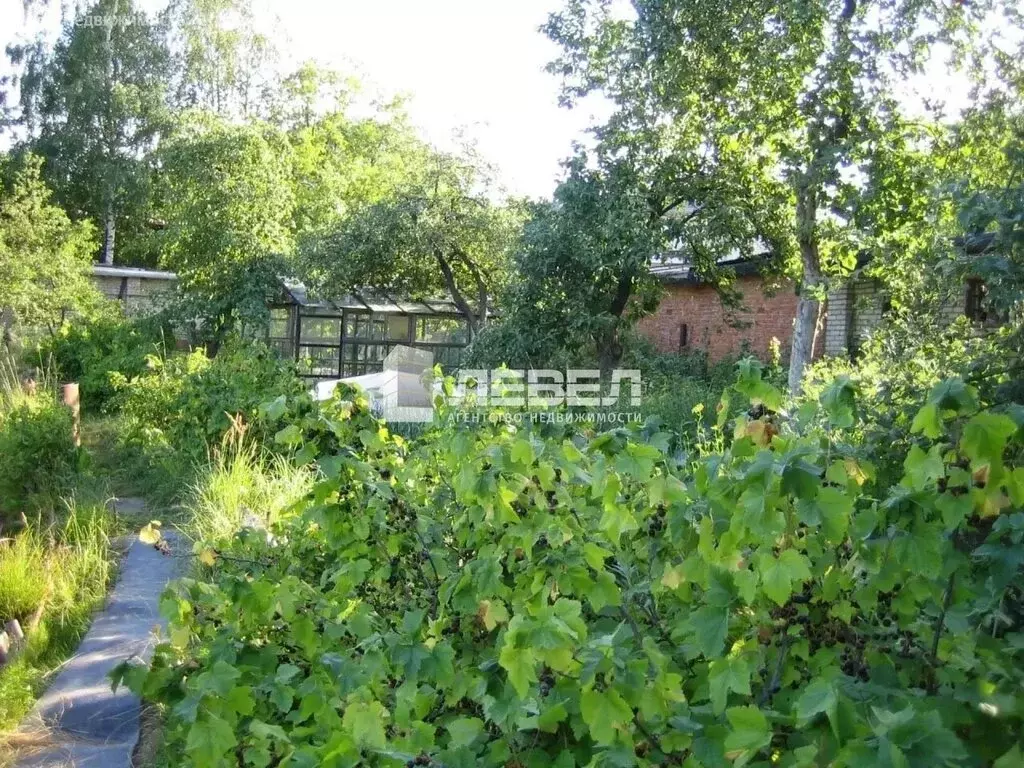 Участок в Подольск, СНТ № 8 (7.42 м) - Фото 2