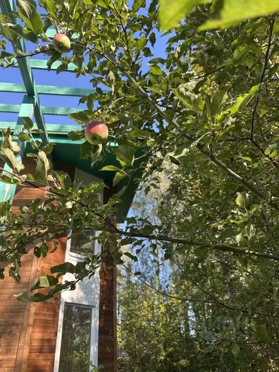 Дом в Ленинградская область, Всеволожский район, Куйвозовское с/пос, ... - Фото 2