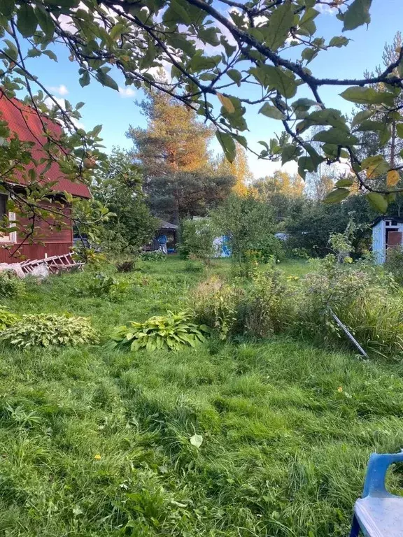 Участок в Ленинградская область, Всеволожский район, Сертоловское ... - Фото 1