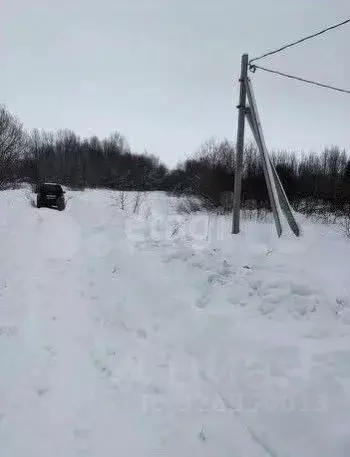 Участок в Пермский край, Пермский муниципальный округ, д. Заозерье ... - Фото 2