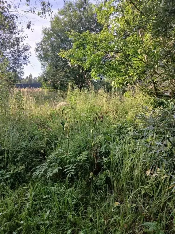 Участок в Московская область, Клин городской округ, пос. Нарынка  ... - Фото 1