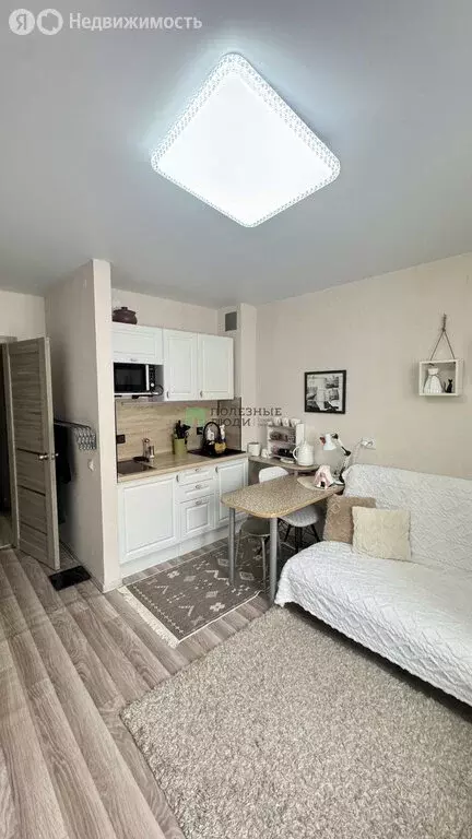 Квартира-студия: деревня Хохряки, улица Петра Чайковского, 3 (20 м) - Фото 2