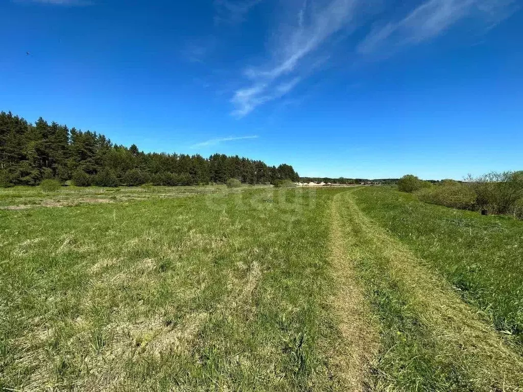 Участок в Тверская область, Калининский муниципальный округ, д. ... - Фото 1