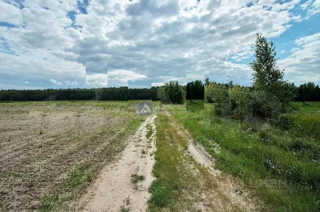 Участок в Тюменская область, Тюменский район, с. Мальково  (7.0 сот.) - Фото 0