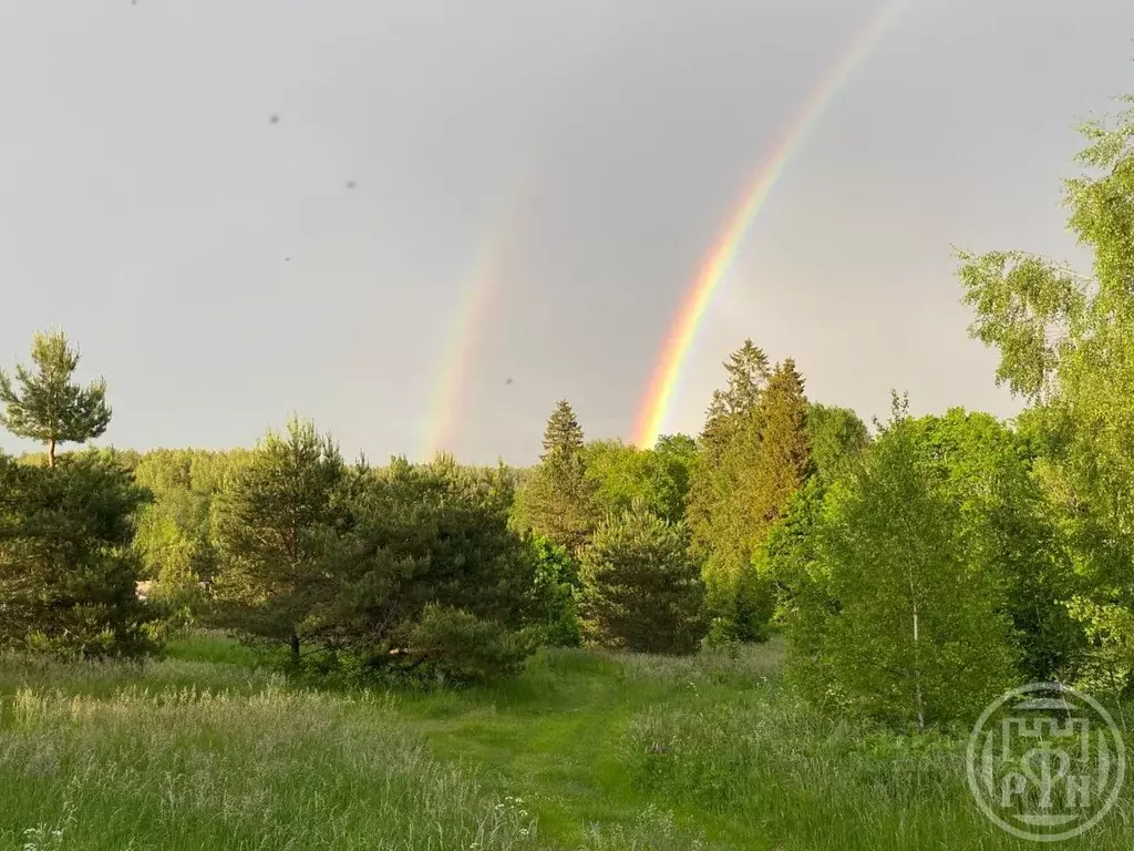 Участок в Псковская область, Гдовский район, с. Чернево  (1160.0 сот.) - Фото 2