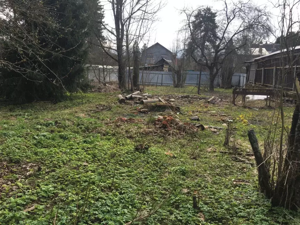 Участок в Московская область, Пушкинский городской округ, Правдинский ... - Фото 1