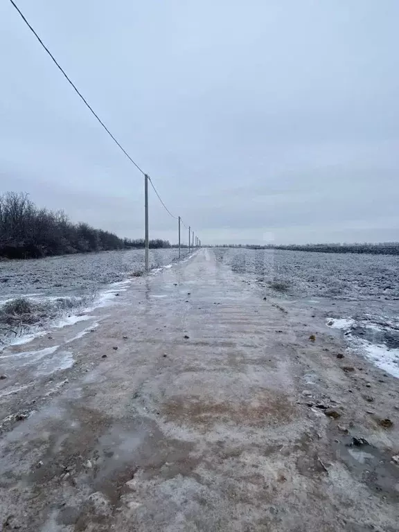 Участок в Ростовская область, Мясниковский район, Краснокрымское ... - Фото 1