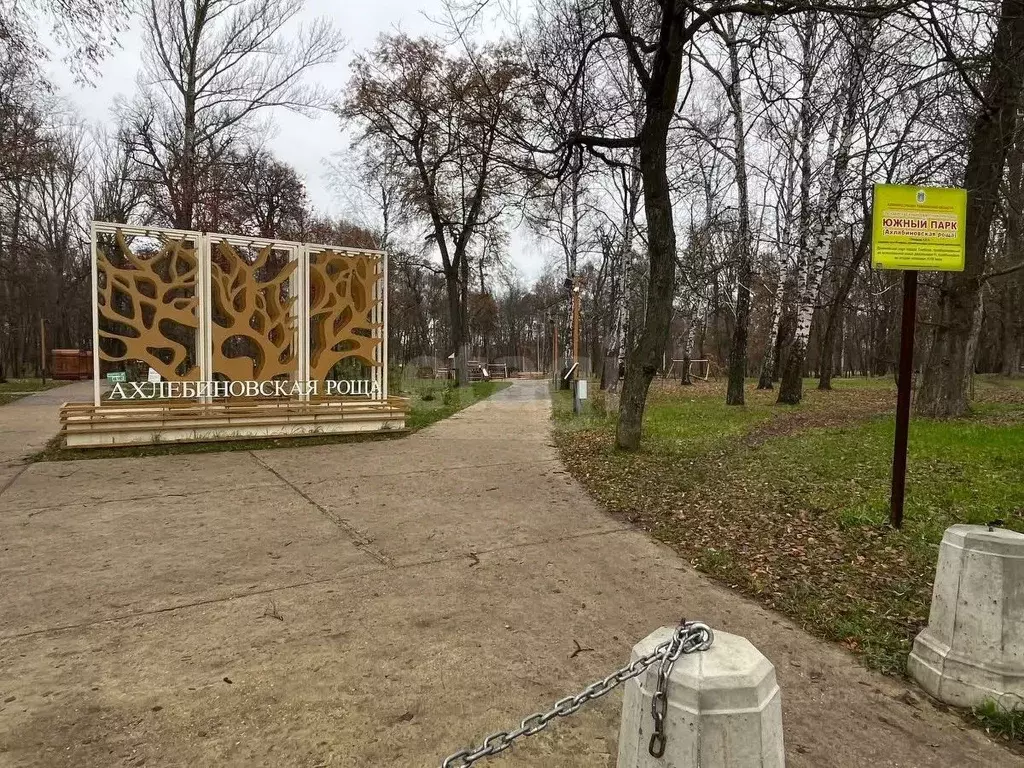 Дом в Тамбовская область, Тамбов Родничок СНТ, 29 (24 м) - Фото 2