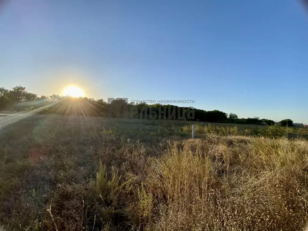 Участок в Волгоградская область, Среднеахтубинский район, Фрунзенское ... - Фото 2