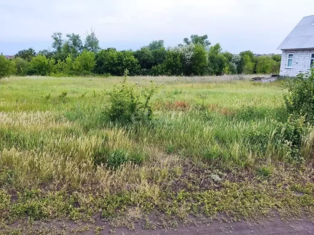 Участок в Белгородская область, Белгород Сухой Лог садоводческий ... - Фото 1