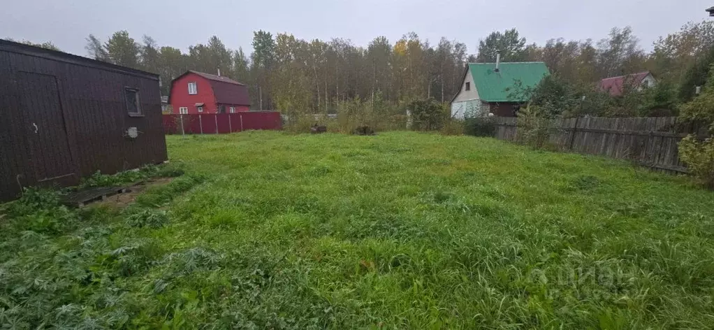 Участок в Ленинградская область, Кировский район, Синявинское ... - Фото 0