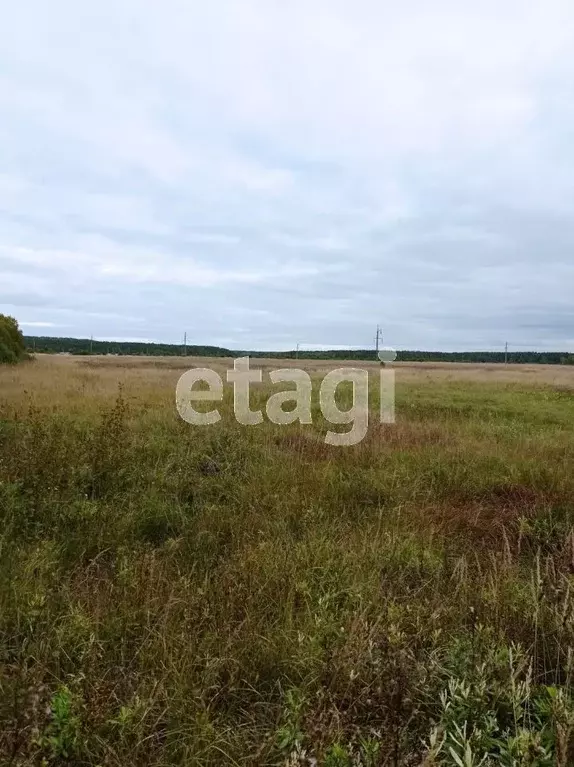 Участок в Костромская область, Костромской район, Середняковское ... - Фото 0