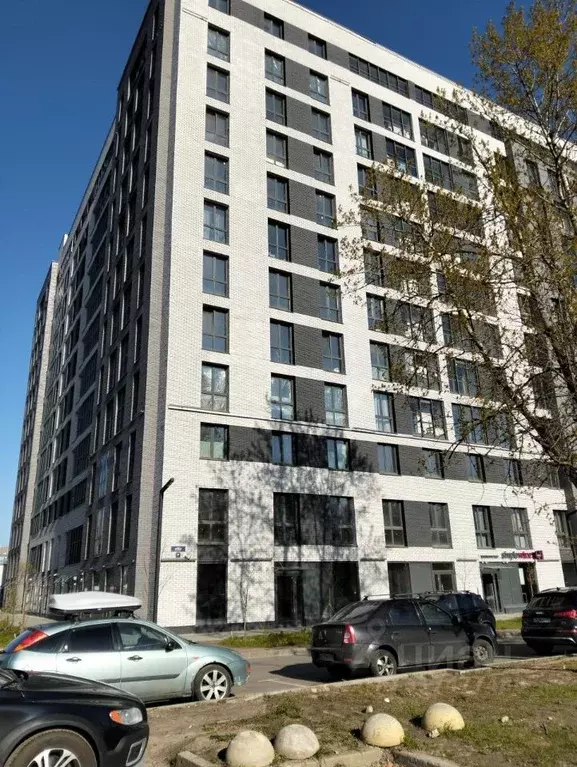 1-к кв. Санкт-Петербург просп. Энгельса, 29 (50.0 м) - Фото 0