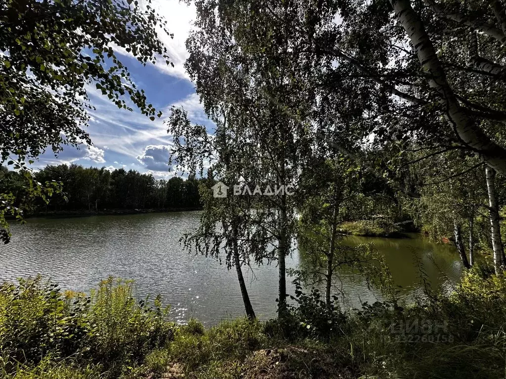 Участок в Нижегородская область, Богородский муниципальный округ, д. ... - Фото 1