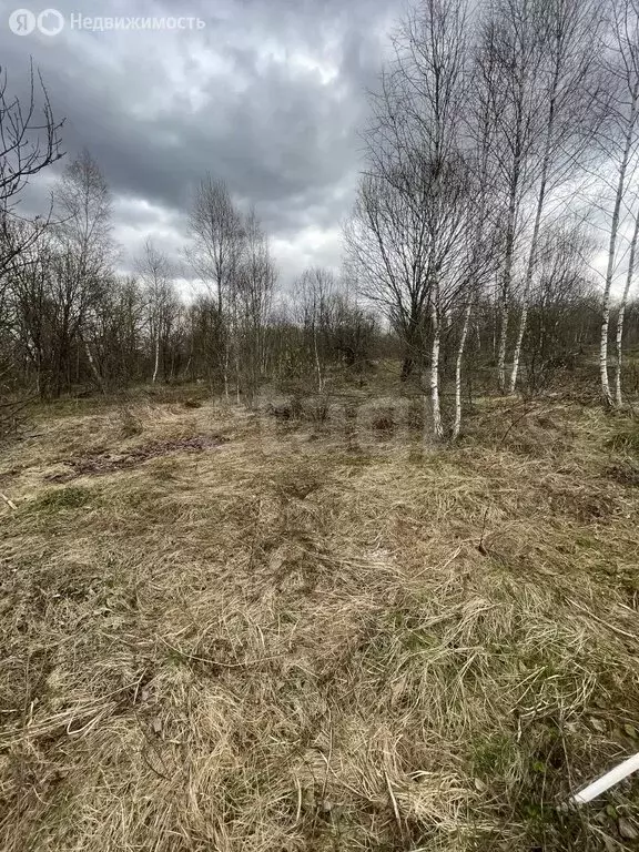 Участок в Тульская область, городской округ Тула, деревня Коптево (15 ... - Фото 2