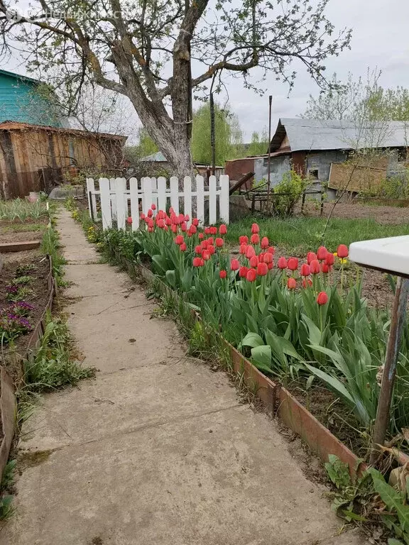 Дом в Высокогорский район (35 м) - Фото 1