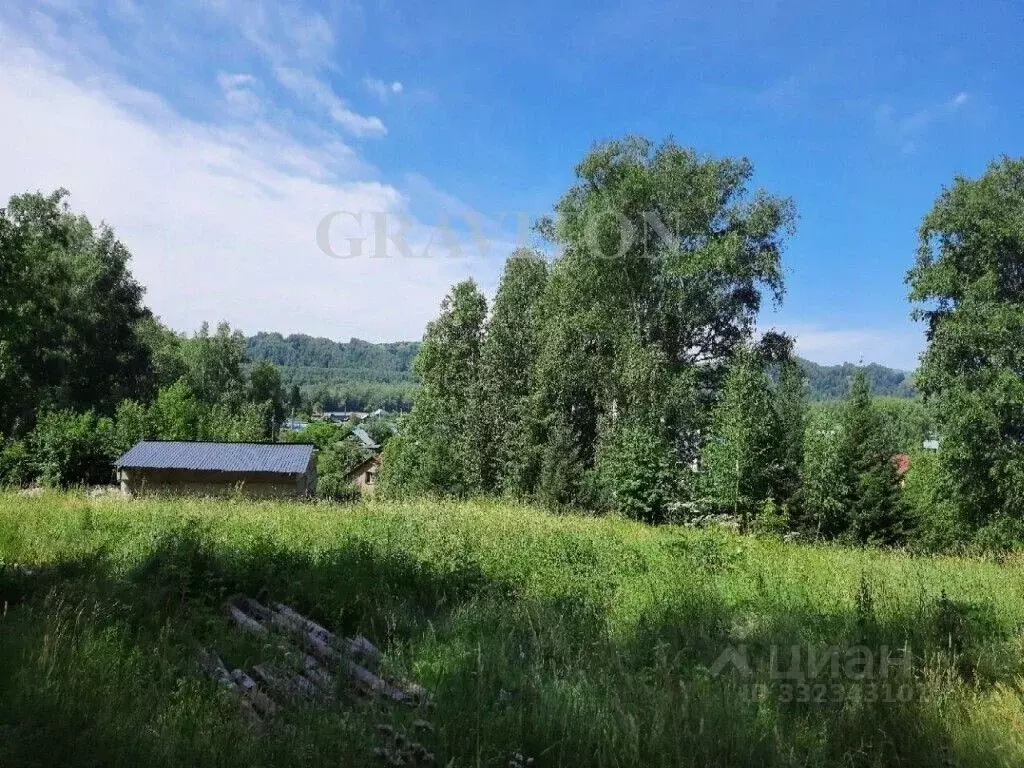Участок в Алтай, Майминский район, пос. Дубровка Лесной пер., 5 (12.0 ... - Фото 1