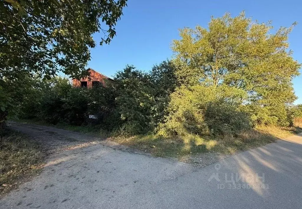 Участок в Краснодарский край, Краснодар городской округ, Ленина хут., ... - Фото 2