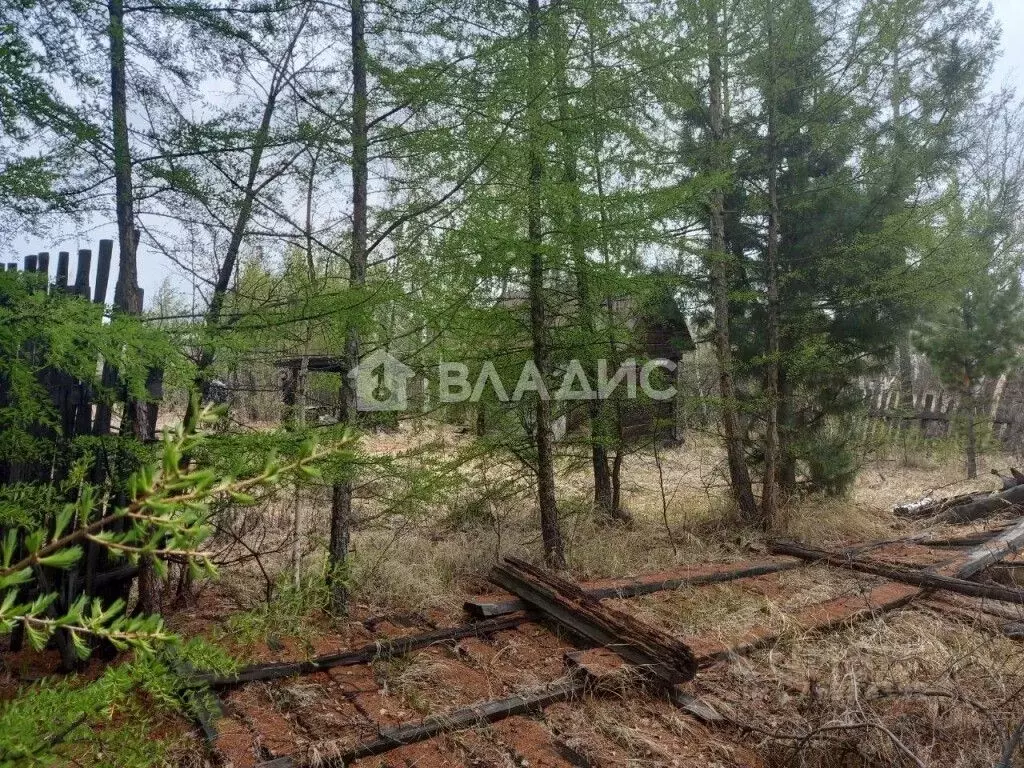 Участок в Забайкальский край, Читинский район, Энергетик-2 СНТ  (5.0 ... - Фото 1