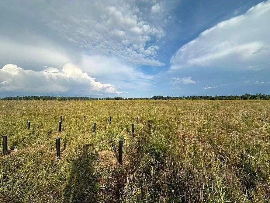 Участок в Московская область, Можайский муниципальный округ, д. ... - Фото 2