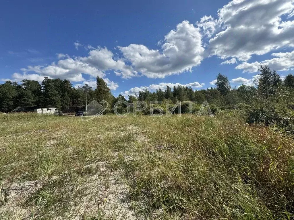 Участок в Тюменская область, Тюменский район, Архитектор СНТ ул. ... - Фото 2