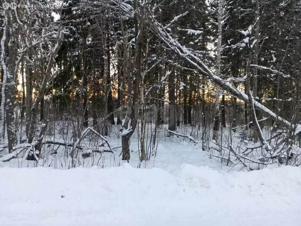 Участок в Архангельская область, Приморский муниципальный округ, ... - Фото 2