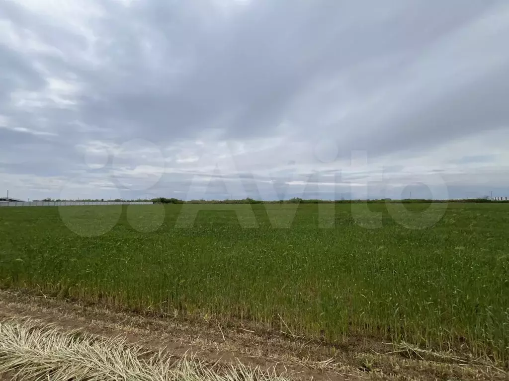 Участок 3 сот. (СНТ, ДНП) - Фото 1