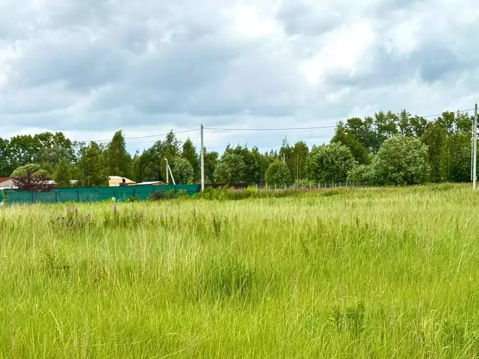 Участок в Московская область, Раменский муниципальный округ, Поляна ... - Фото 1
