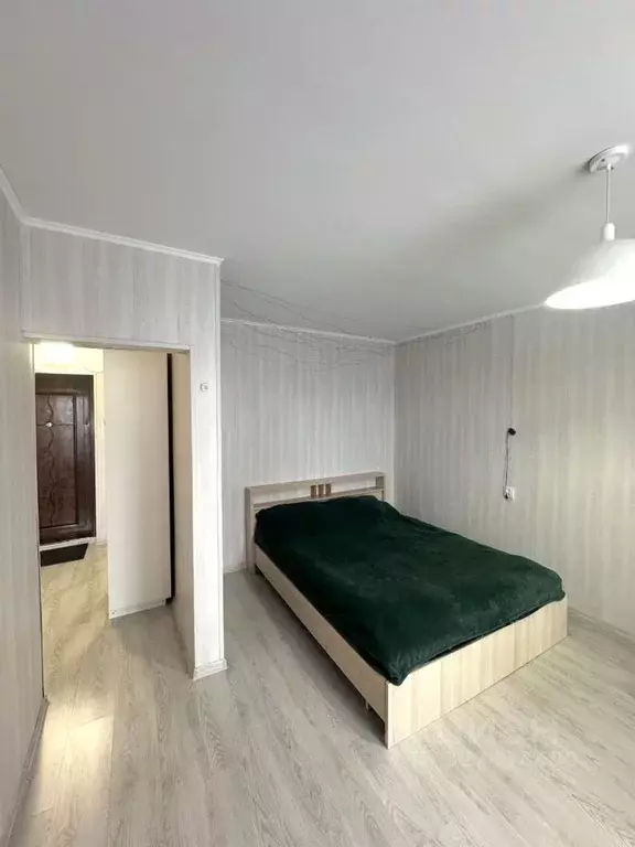 1-к кв. Московская область, Ногинск Богородский городской округ, ул. ... - Фото 1