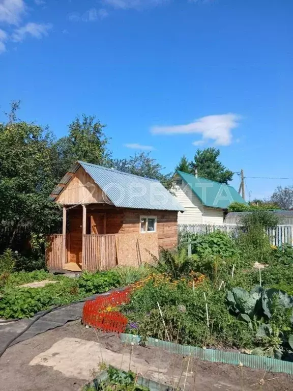 Дом в Тюменская область, Тюмень Строитель-3 СНТ, ул. Липовая (20 м) - Фото 1