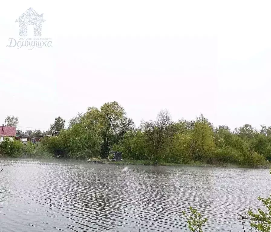 Участок в Воронежская область, Рамонский район, с. Ломово Центральная ... - Фото 0