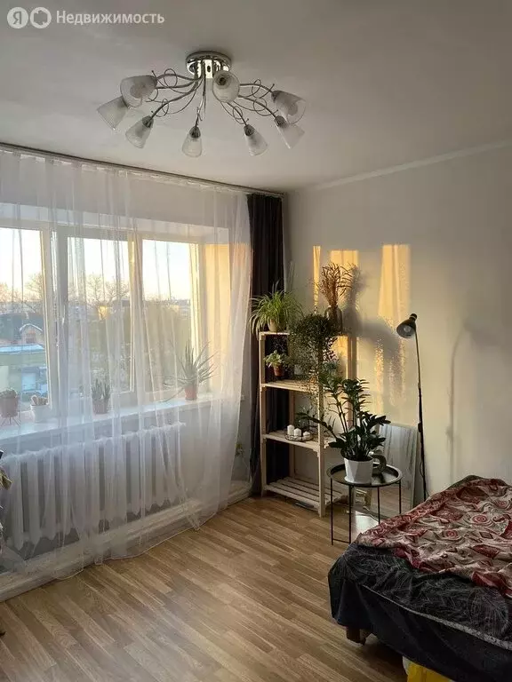 1-комнатная квартира: Орёл, Молодогвардейский переулок, 4 (20.9 м) - Фото 0