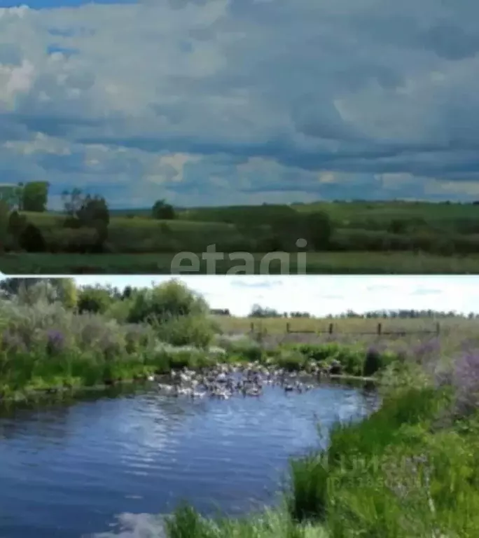 Участок в Башкортостан, Аургазинский район, Ишлинский сельсовет, д. ... - Фото 1