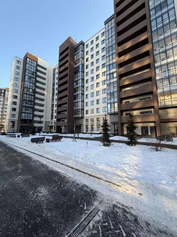 Студия Санкт-Петербург просп. Ветеранов, 173к1 (24.5 м) - Фото 0