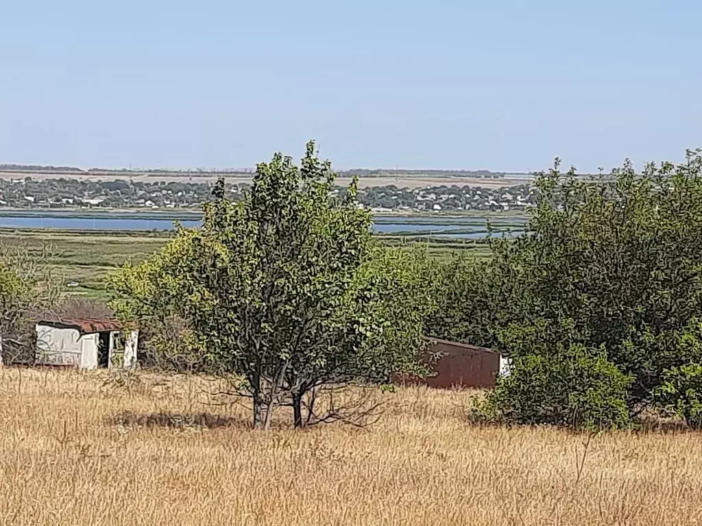 Участок в Ростовская область, Неклиновский район, ... - Фото 2