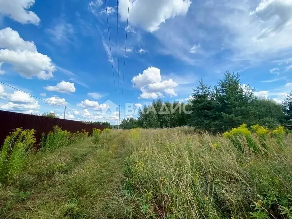 Участок в Владимирская область, Судогодский район, Головинское ... - Фото 0