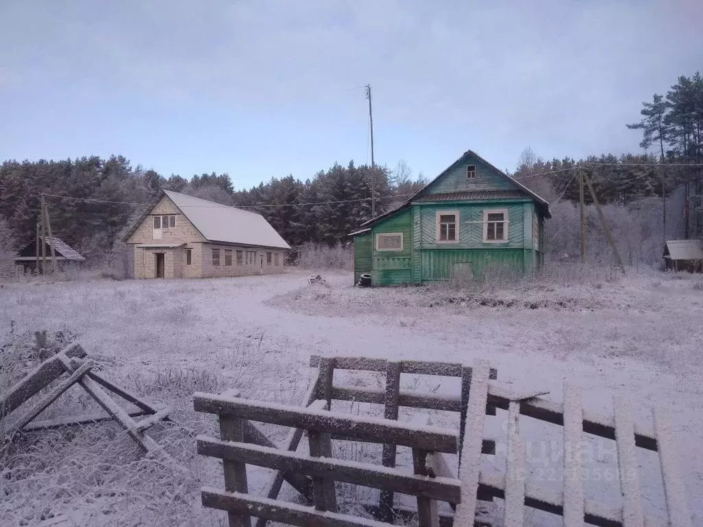 Помещение свободного назначения в Новгородская область, Валдайский ... - Фото 0