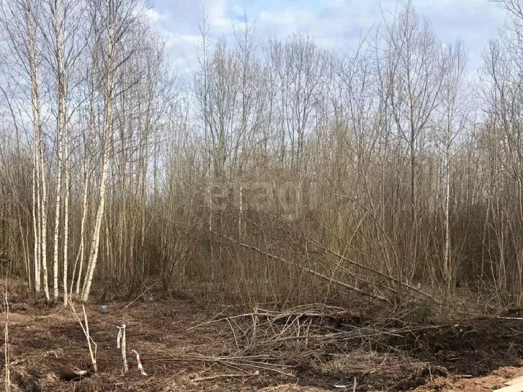 Продается участок в ДСК Колос - Фото 1