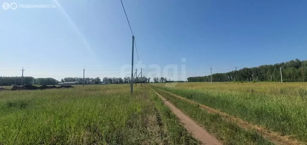 Участок в Усть-Заостровка, Солнечный переулок (15 м) - Фото 1