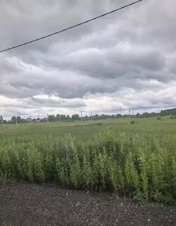 Участок в Московская область, Богородский городской округ, Черновские ... - Фото 2