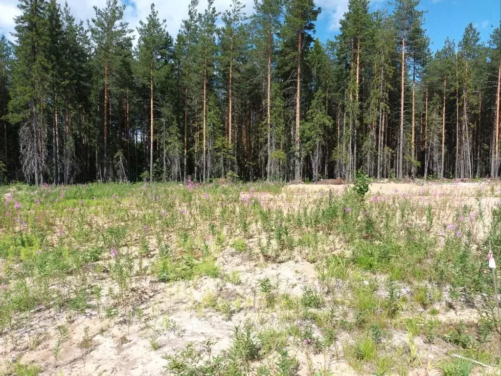 участок в коми, сыктывкар городской округ, краснозатонский пгт ул. . - Фото 1