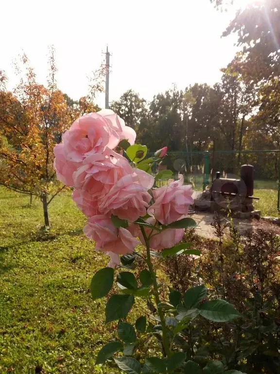 Дом 80 м на участке 15 сот. - Фото 1