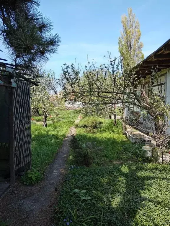 Участок в Ростовская область, Таганрог Мирный ДНТ,  (6.0 сот.) - Фото 2