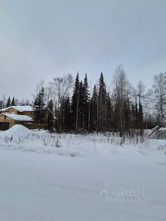 Участок в Иркутская область, Усть-Илимск ул. Ровесников (15.0 сот.) - Фото 2