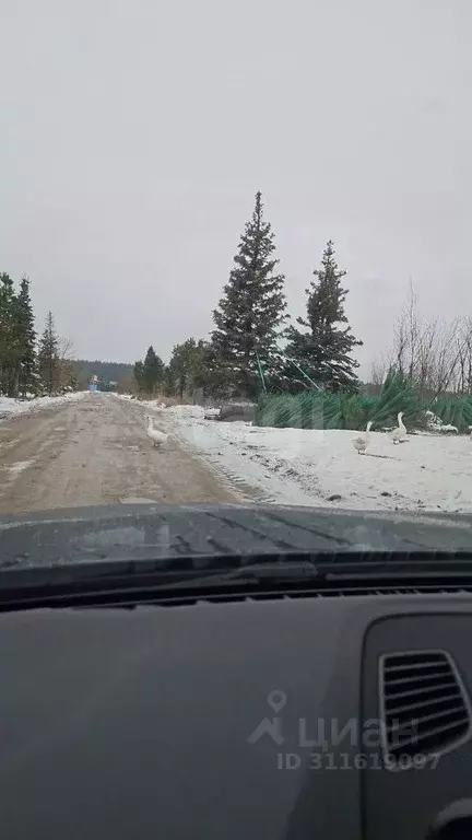 Дом в Московская область, Одинцовский городской округ, д. Малые Вяземы ... - Фото 1