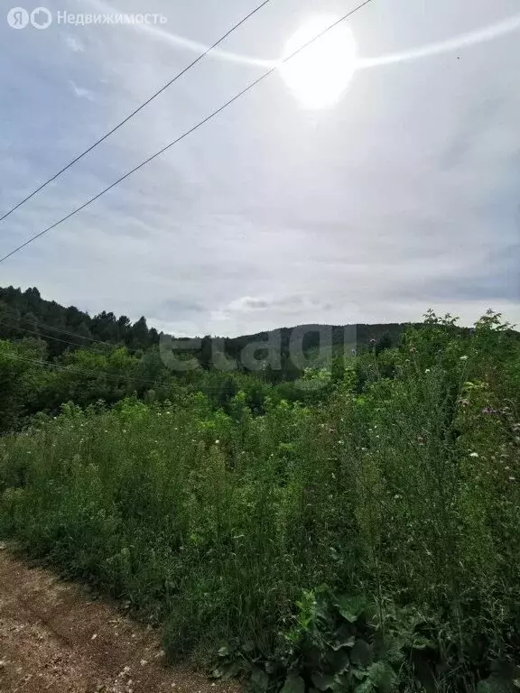 Участок в Белокуриха, улица Угрюмова (15.43 м) - Фото 2