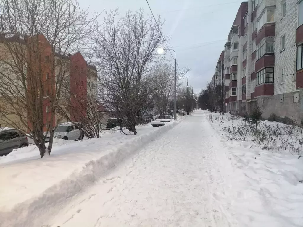 2-к кв. Мурманская область, Мурманск Загородная ул., 20 (50.0 м) - Фото 1